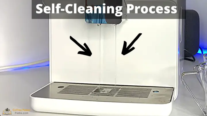 Cecotec self-cleaning process