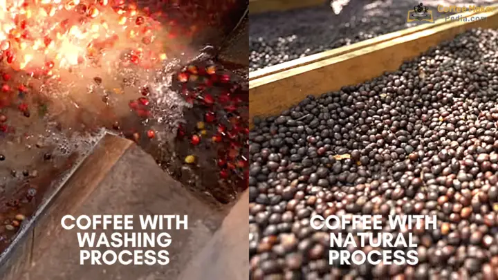 Coffee with washed process vs. Coffee with natural process